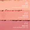 Artclass By Rodin Blusher De Rosee 3 swatches 1. Nudy Rose 2. Soft Coral 3. Deep Rose 
